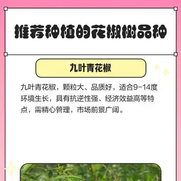 Nine-leaf green pepper cultivation technology