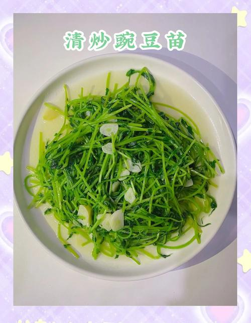 Picture of sprouts growing technology