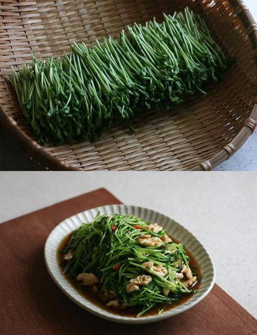 Picture of sprouts growing technology