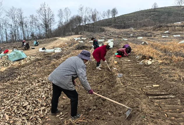 Technological materials for the cultivation of cynics