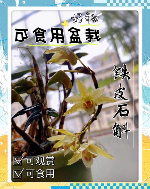 30 methods of planting iron and stone