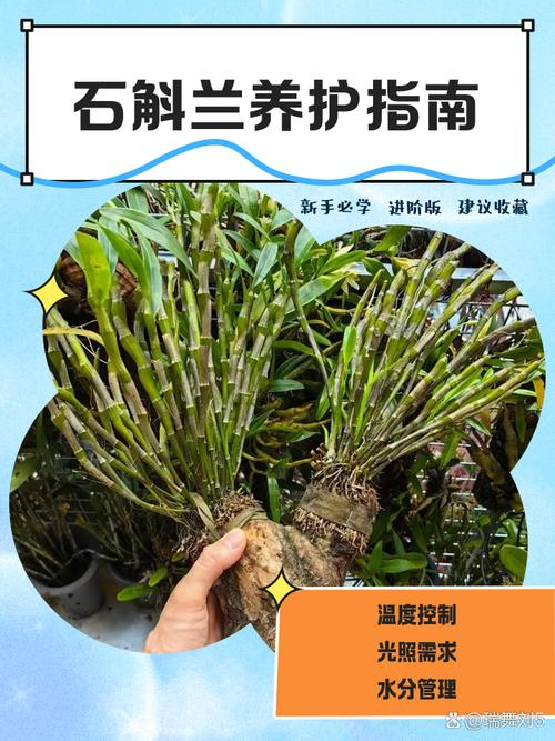 30 methods of planting iron and stone