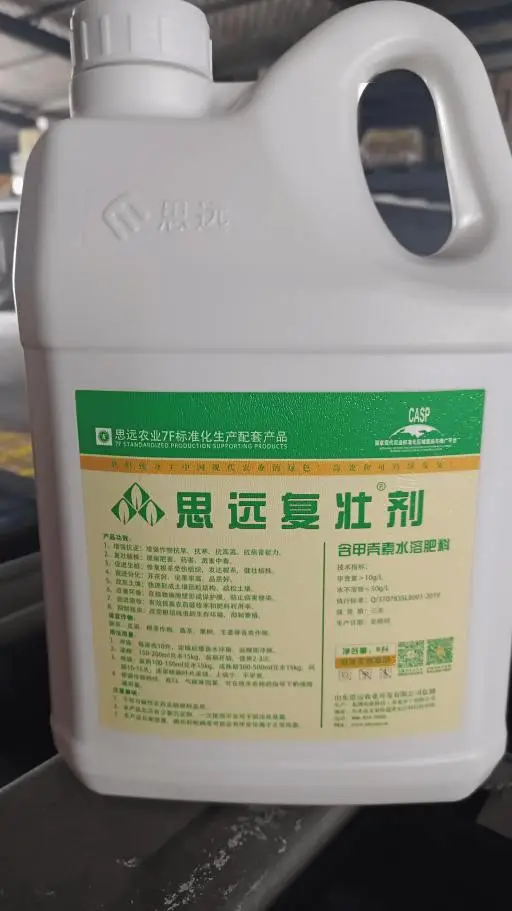 秋延番茄大棚种植技术