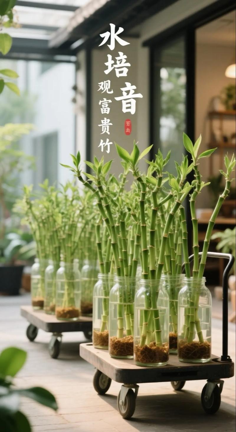 The method of planting bamboo seeds