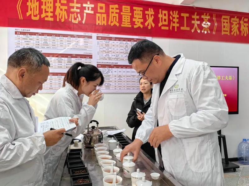 功夫茶茶道术语