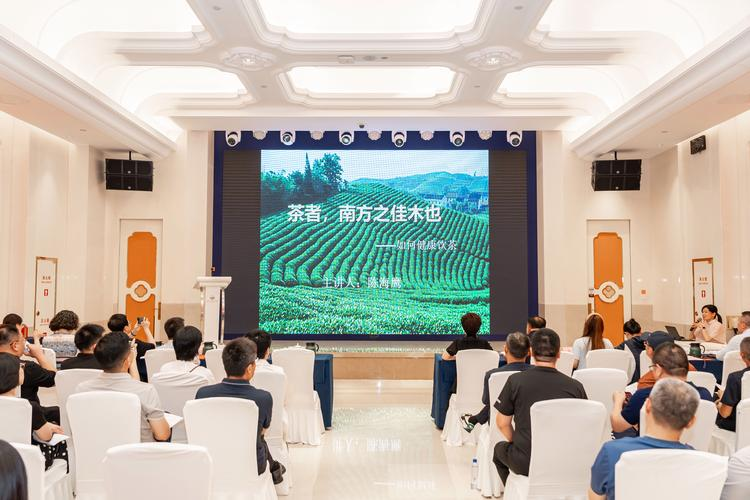 功夫茶茶道术语