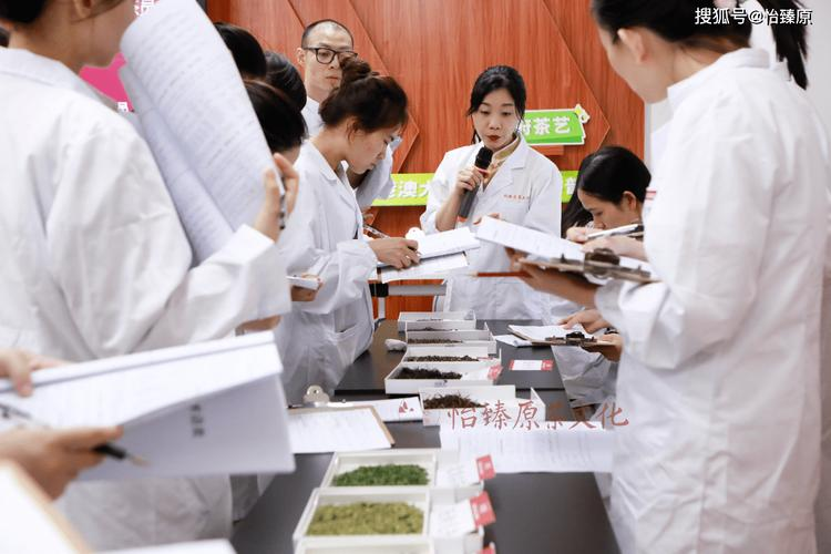 功夫茶茶道术语