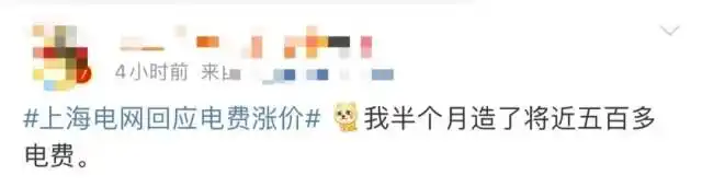 Did the electricity cost increase