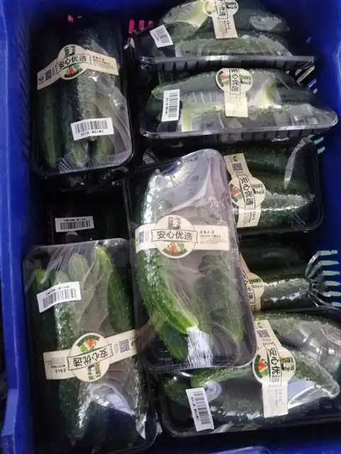 旱黄瓜种植技术