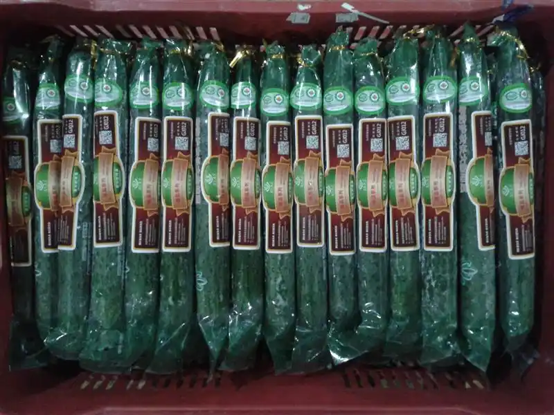 旱黄瓜种植技术