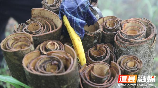 Gye park plantation technology