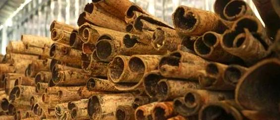 Gye park plantation technology