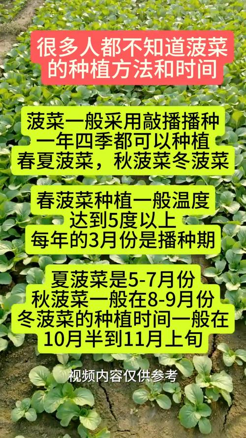 A video of spinach growing technology