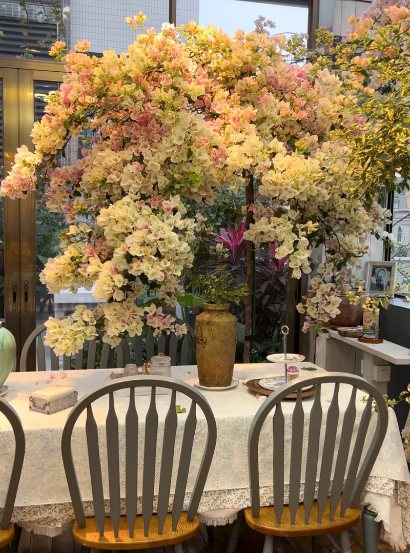 Plants suitable for roof cultivation