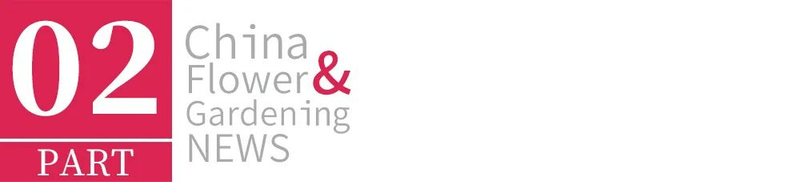 Plants suitable for roof cultivation