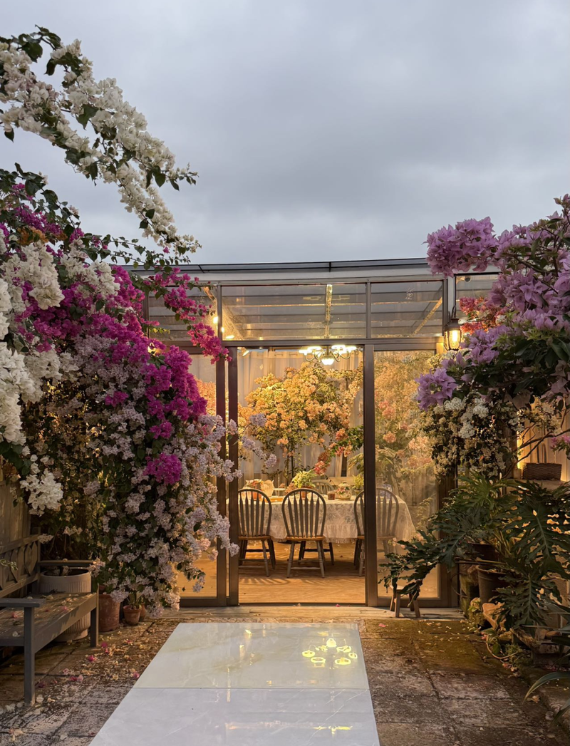 Plants suitable for roof cultivation