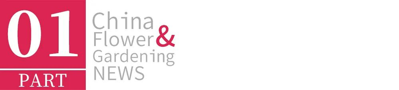 Plants suitable for roof cultivation