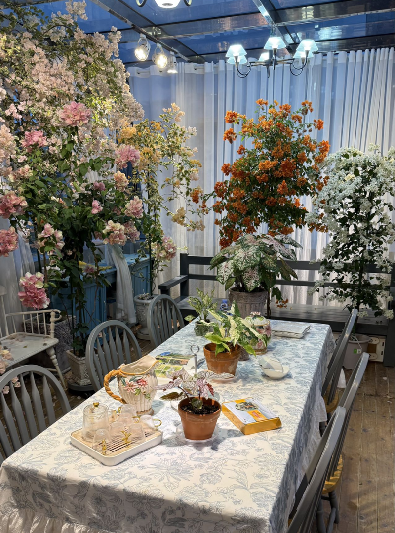 Plants suitable for roof cultivation