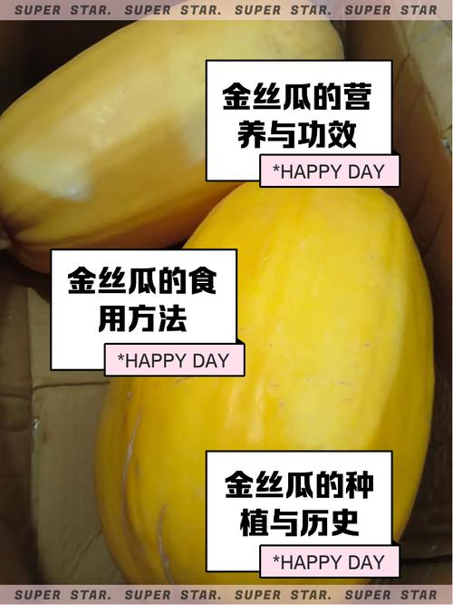 The method of planting meat melon seeds