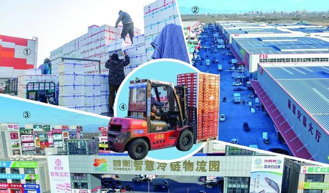 旱黄瓜种植技术