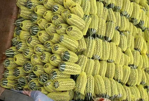 8424西瓜种植技术视频