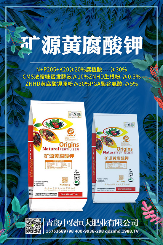 菠菜的种植技术视频