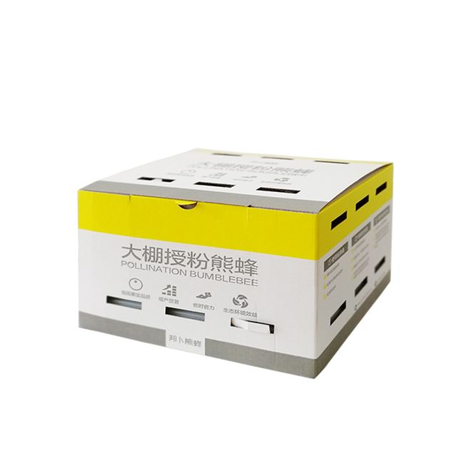 秋延番茄大棚种植技术