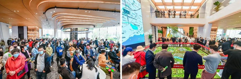 青岛和达和城价格暴跌