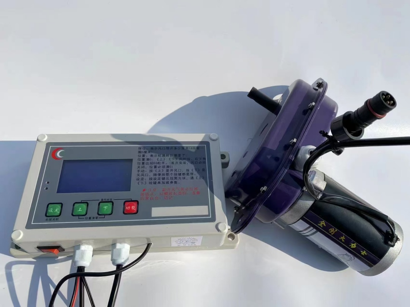 Vegetable growing technique in large sheds