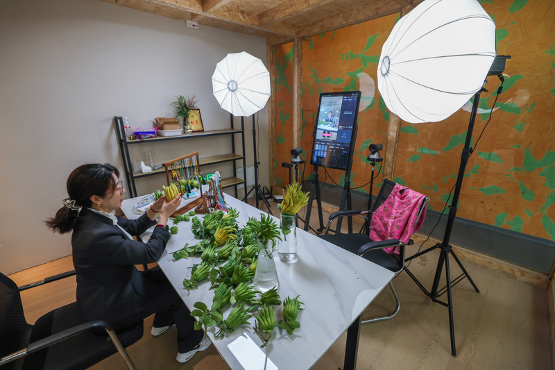 盆栽佛手的种植方法