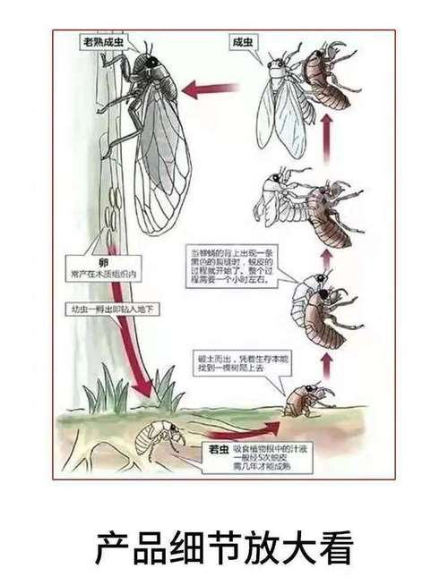 Scientific knowledge