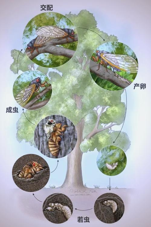 Scientific knowledge