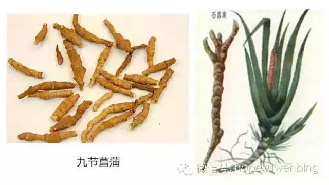 It's a small-scale planting method