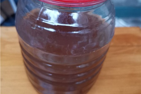 Cement lichen planting techniques