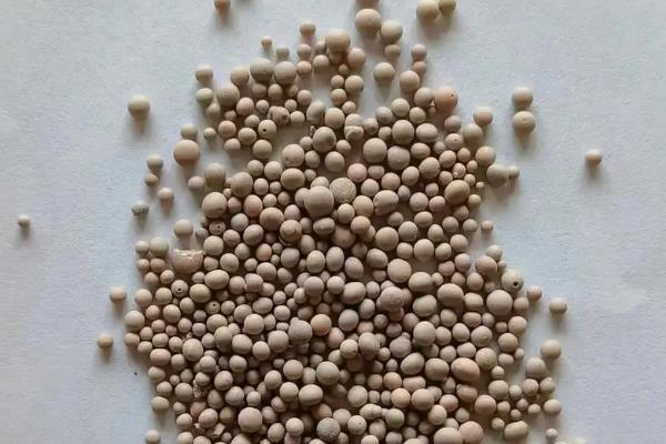 巨型南瓜种植技术