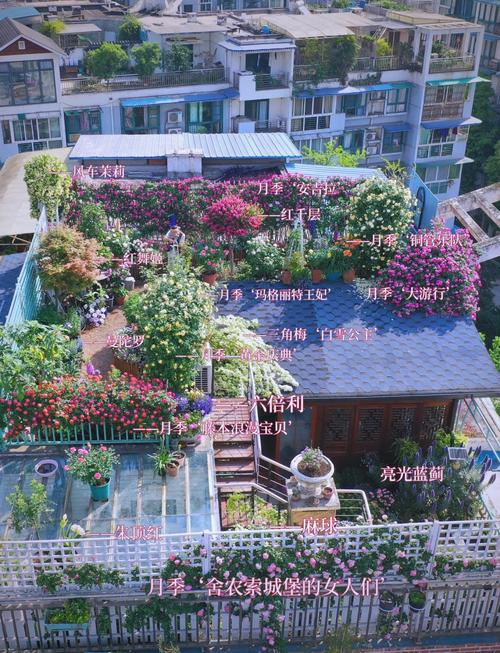 Plants suitable for roof cultivation