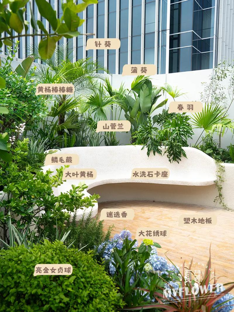 Plants suitable for roof cultivation