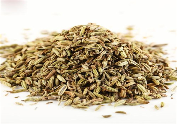 The technology and time of thorium cultivation