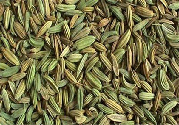 The technology and time of thorium cultivation