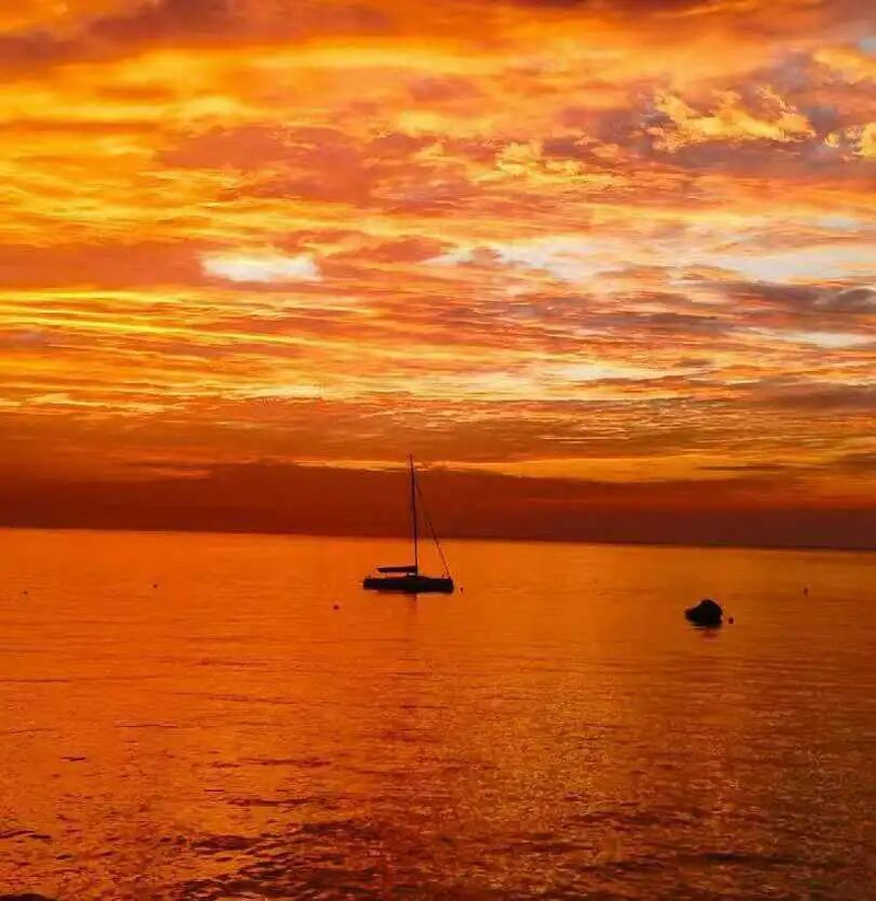 The prices of qingdao and tatsuya fell