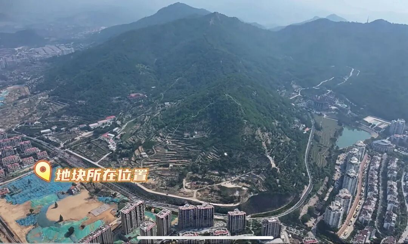 The prices of qingdao and tatsuya fell