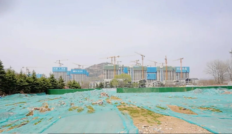 The prices of qingdao and tatsuya fell