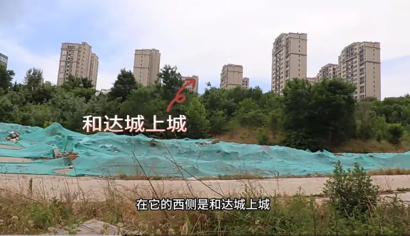 The prices of qingdao and tatsuya fell