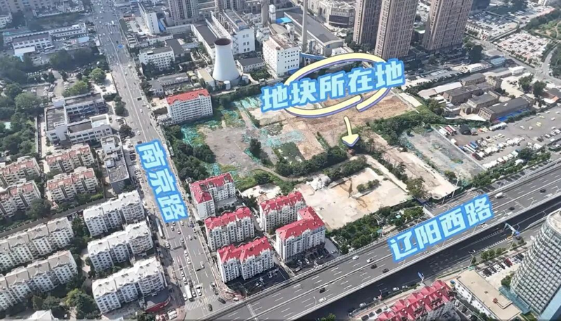 The prices of qingdao and tatsuya fell