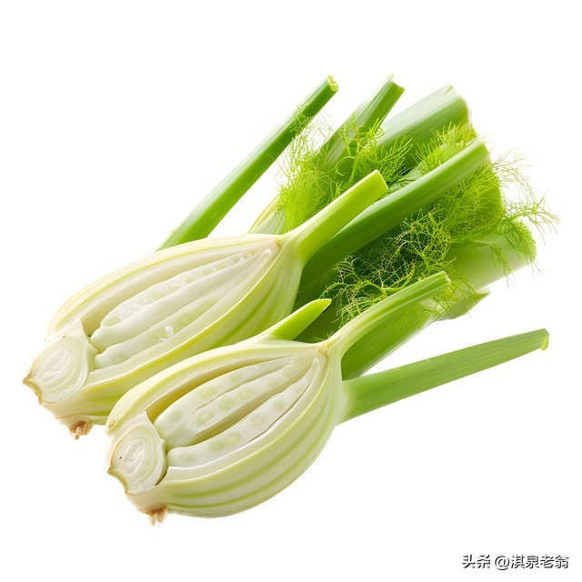 大茴香种植技术和时间