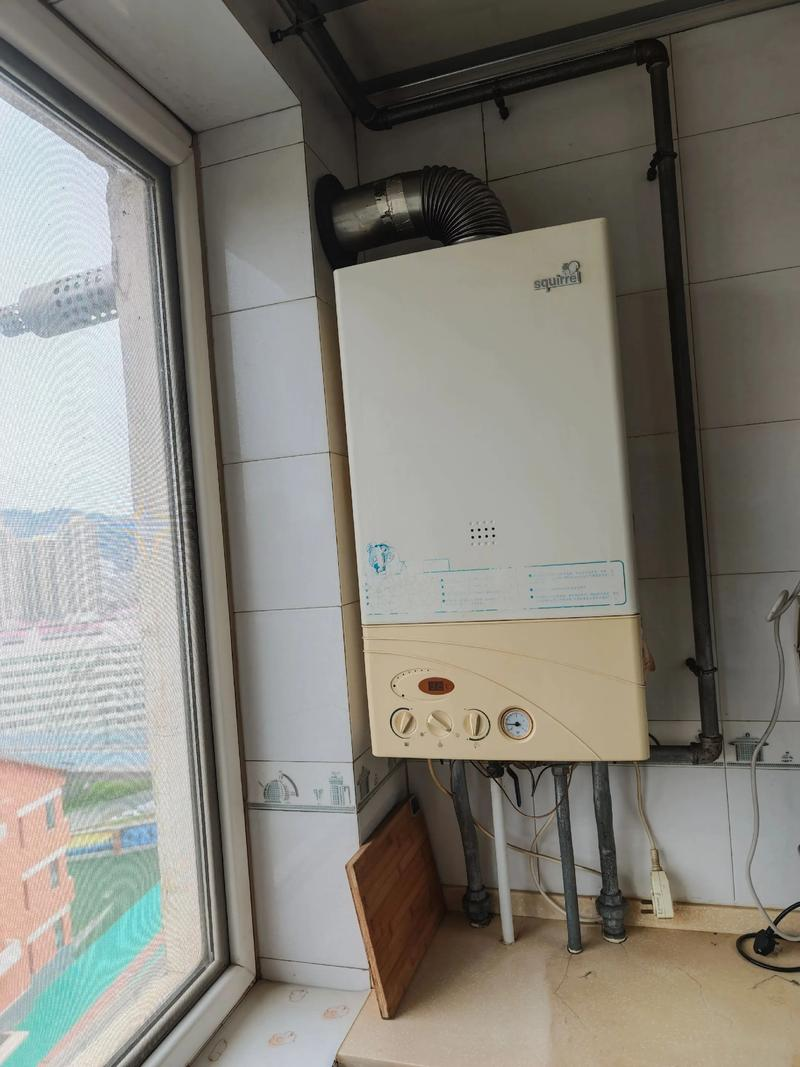 Maintenance of the faroli boiler