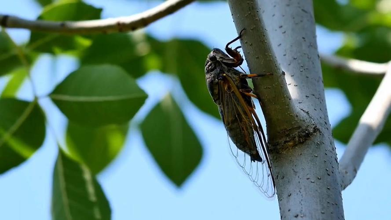 Scientific knowledge