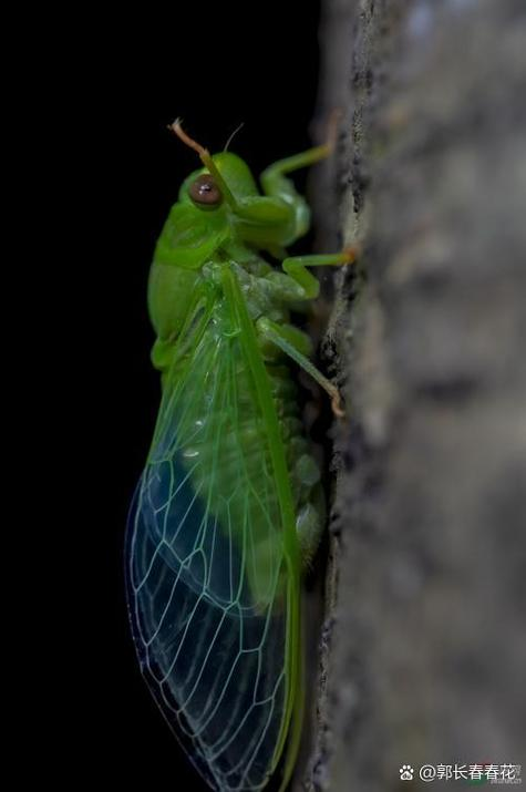 Scientific knowledge