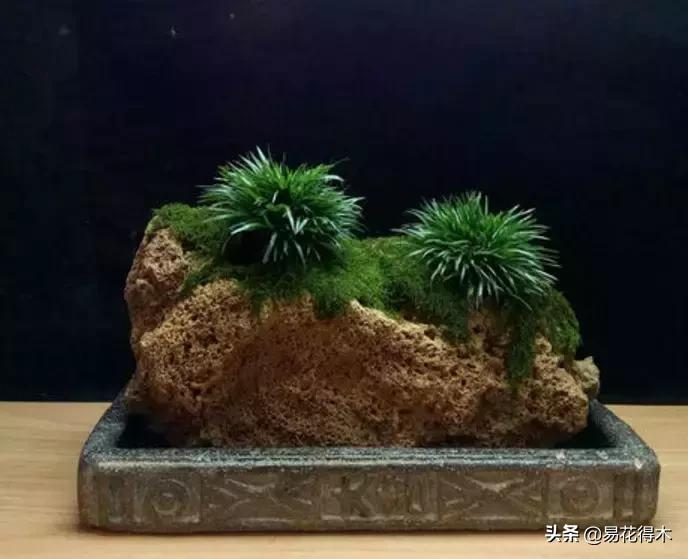 It's a small-scale planting method