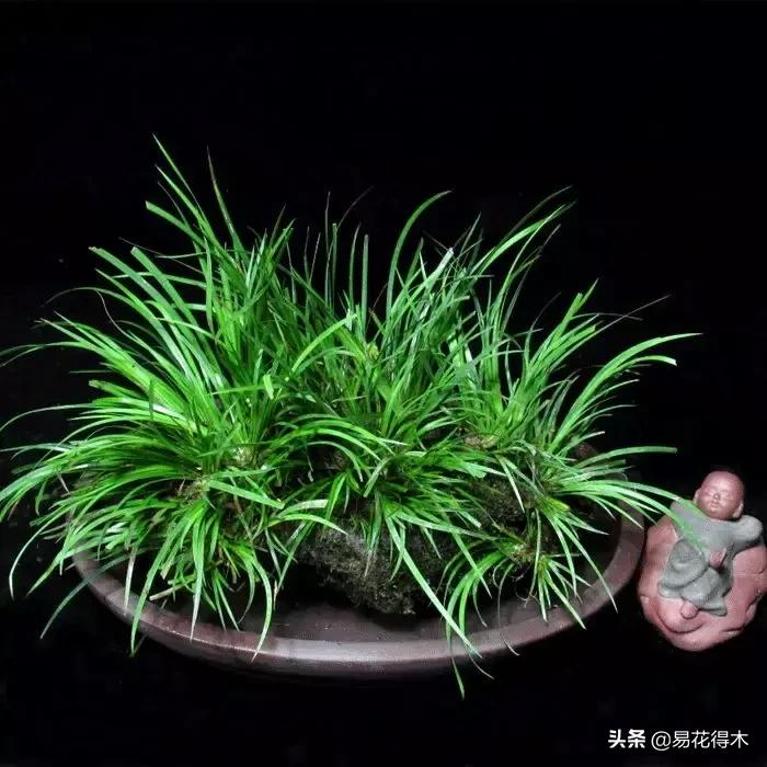 It's a small-scale planting method